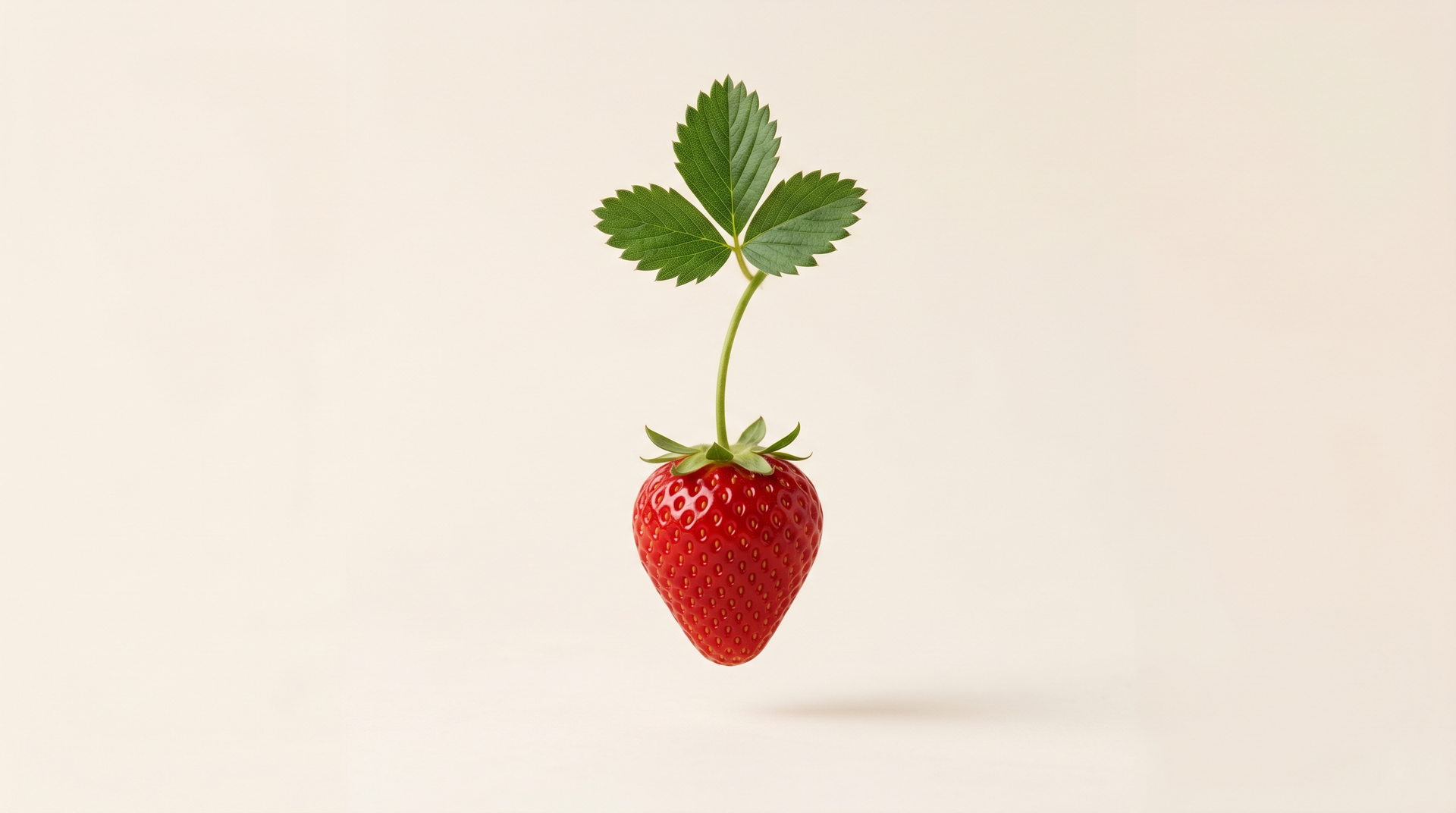 Fresh organic strawberry